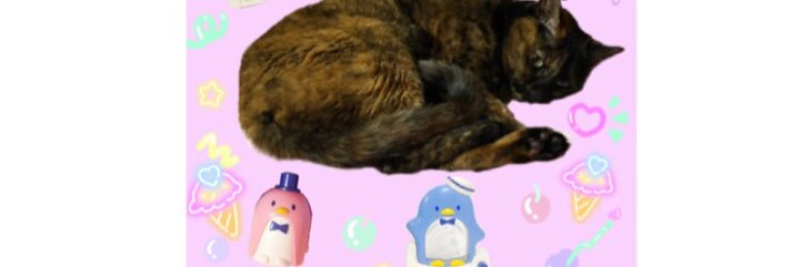 mimypoke's profile banner image