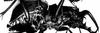 DrNeebs's profile banner image