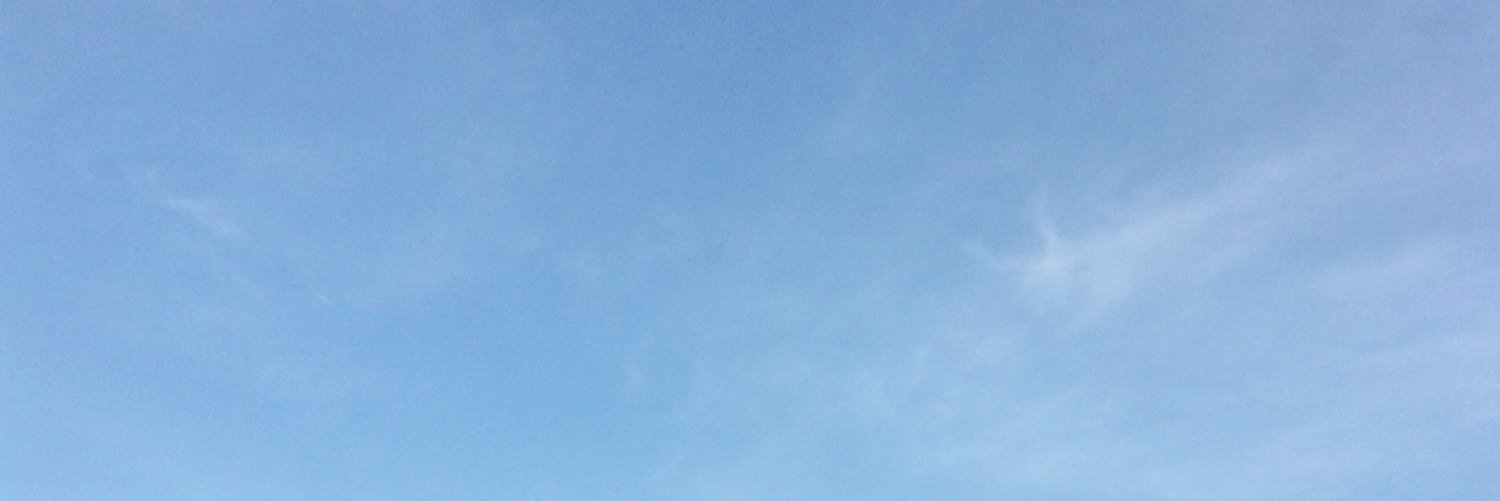 feezodo's profile banner image