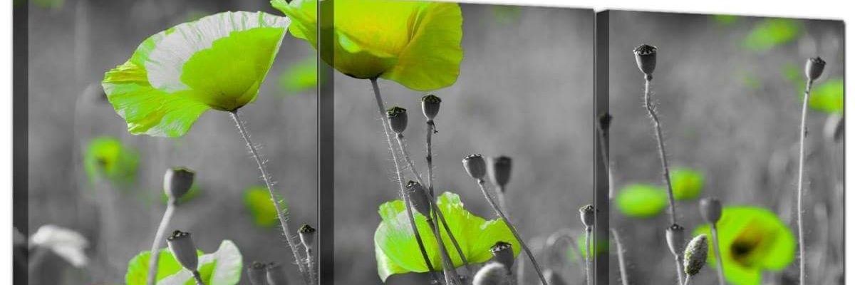 finlandbk's profile banner image