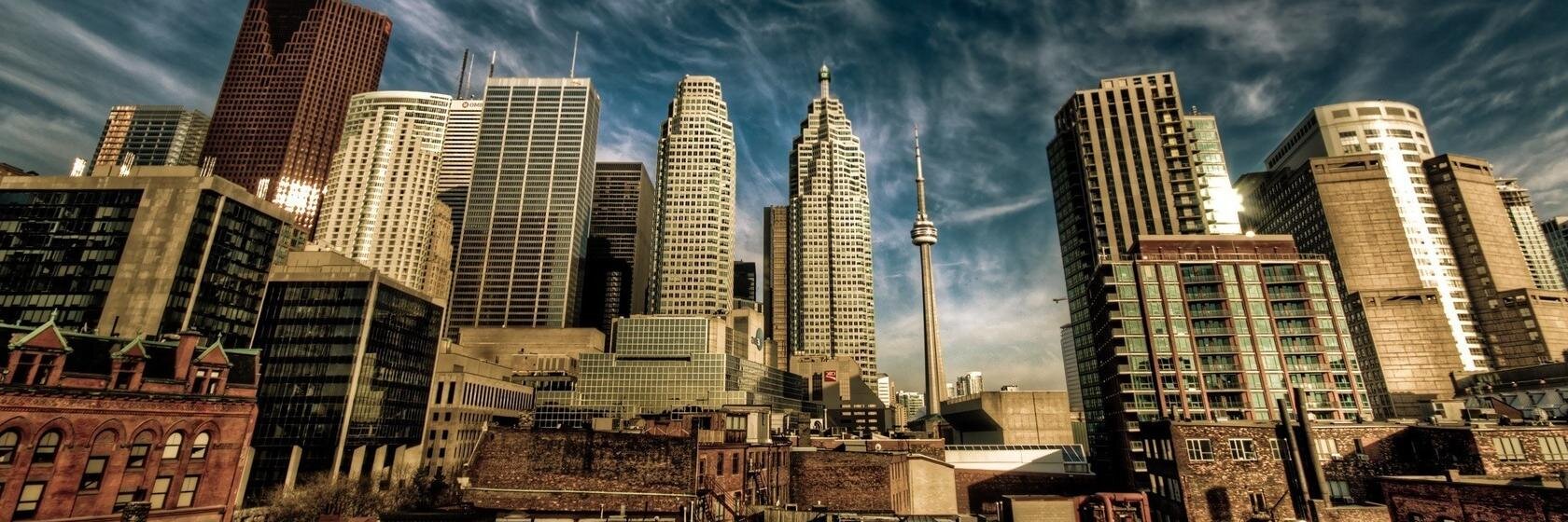 Sultan AlSheikh  سلطان آل الشيخ banner