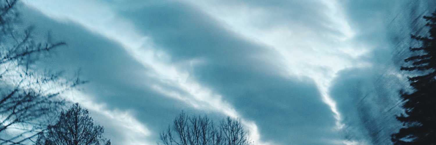 victoriaapiro's profile banner image