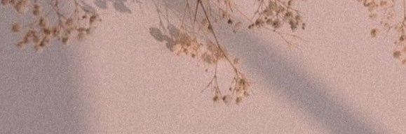 sh_alameri's profile banner image