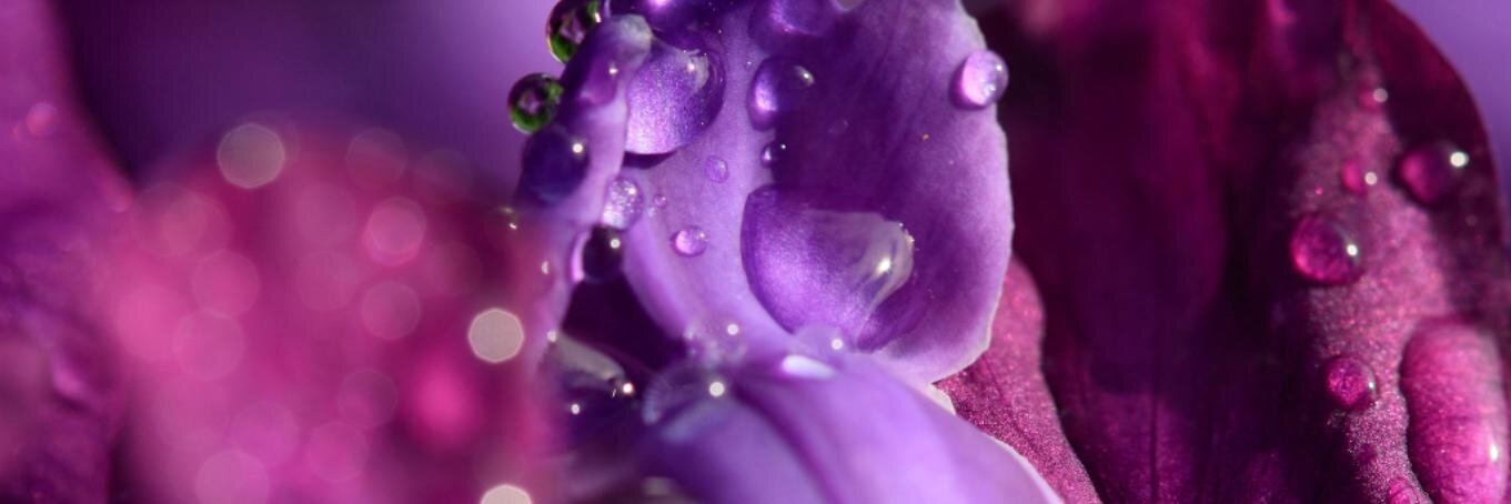 name_of_rain's profile banner image