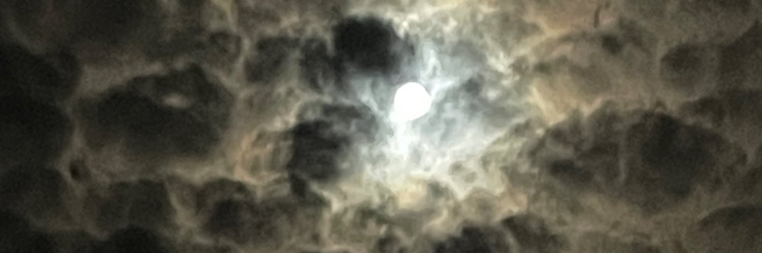 さいばね🐚 banner