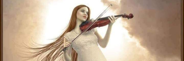 serap_torun's profile banner image
