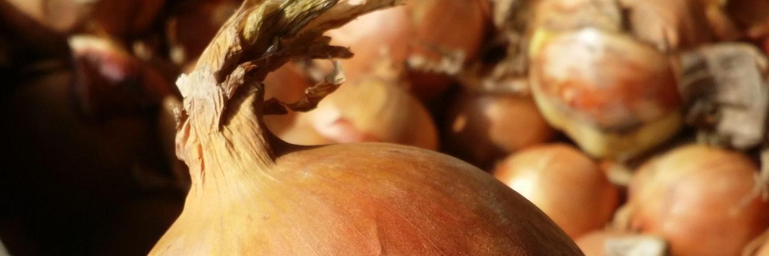 Eric Moerdijk banner