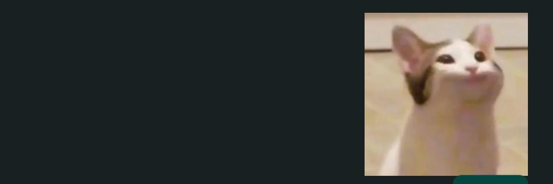 oskaoasis's profile banner image