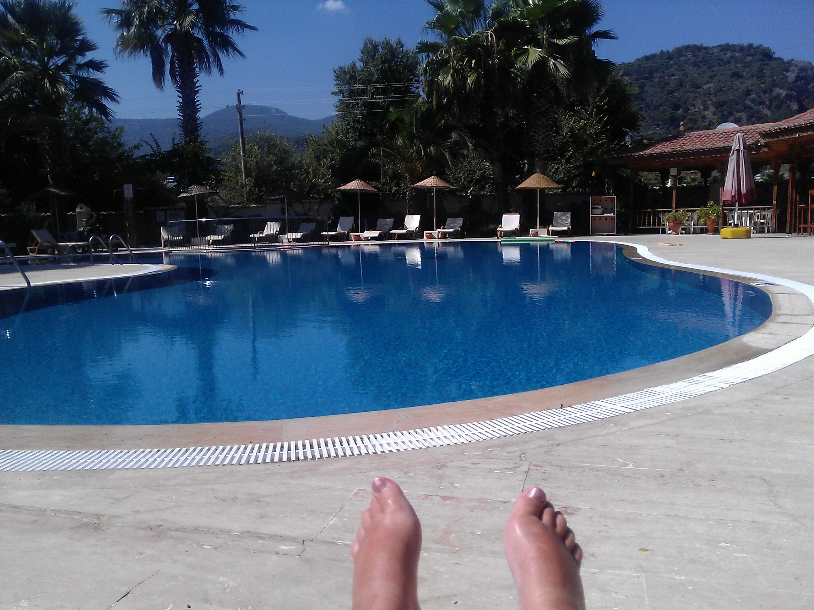 pauline macdonald banner