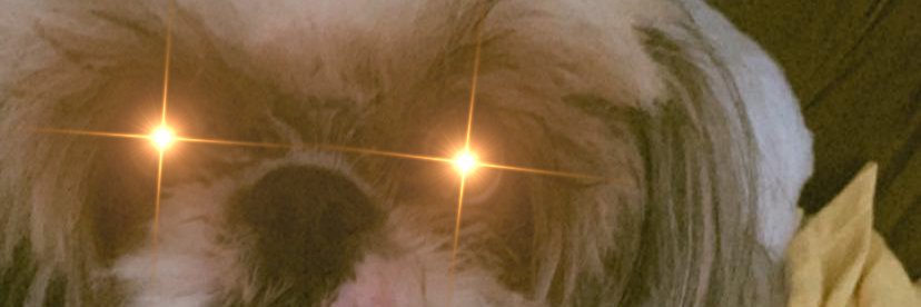 chengmum banner