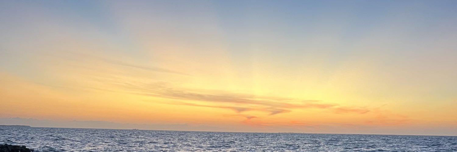 Meliscv19's profile banner image