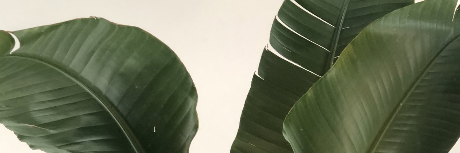 imankatxo's profile banner image