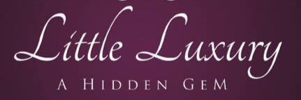 LittleLuxN's profile banner image