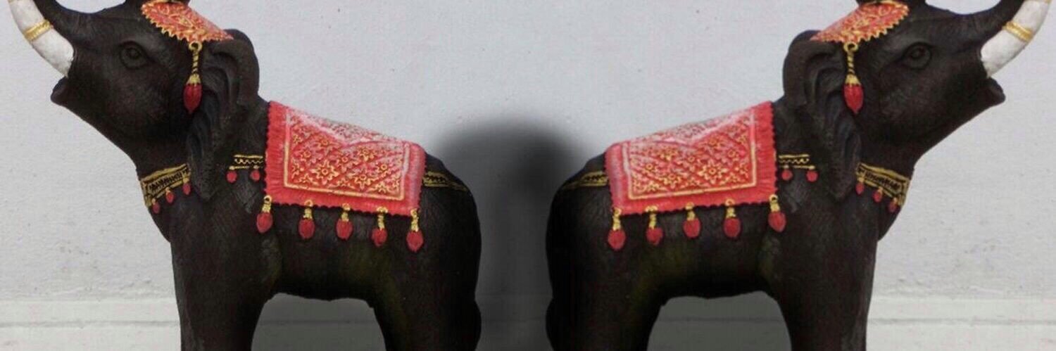 agnescomas's profile banner image