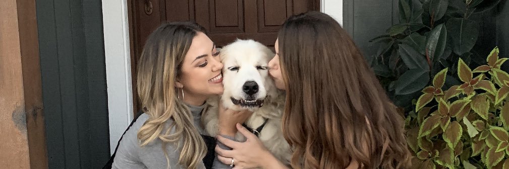 Vanessa Marozzi banner