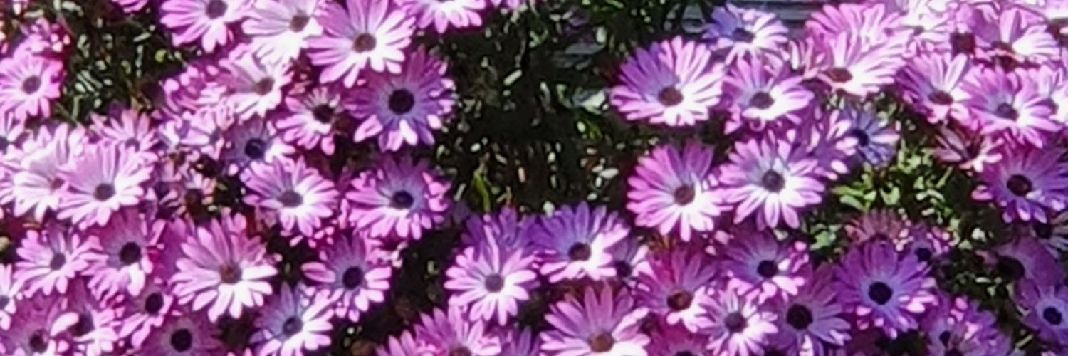 tpsnaras's profile banner image