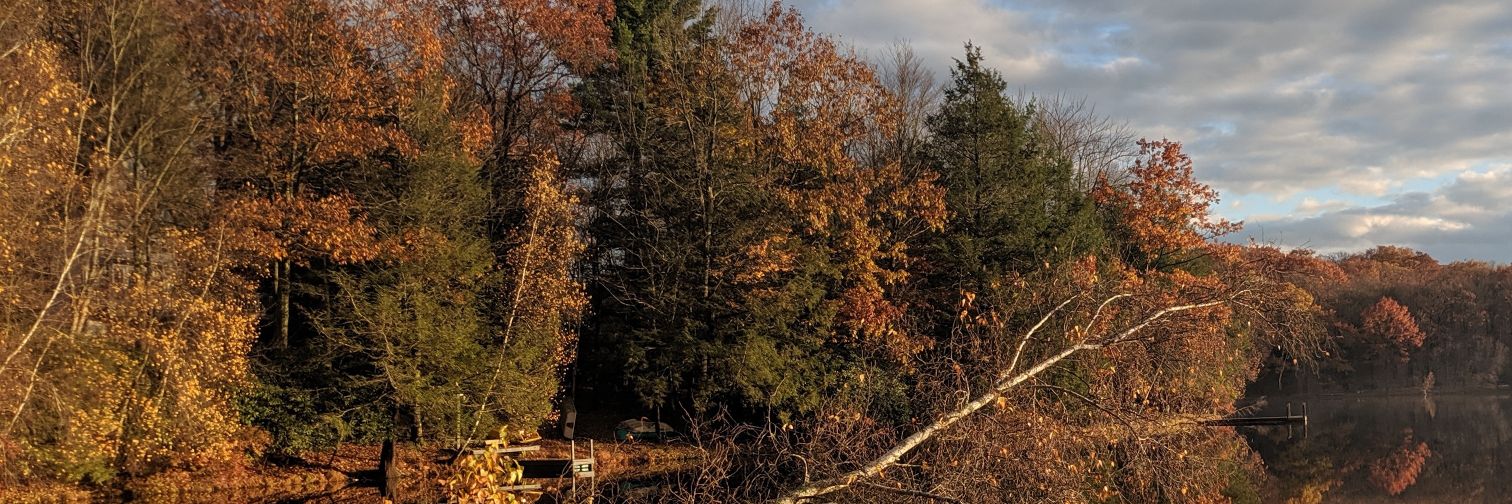DonGallant's profile banner image