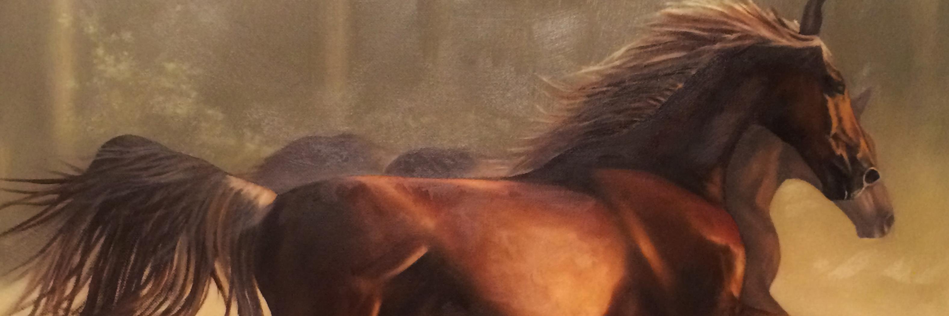 LCapizano's profile banner image