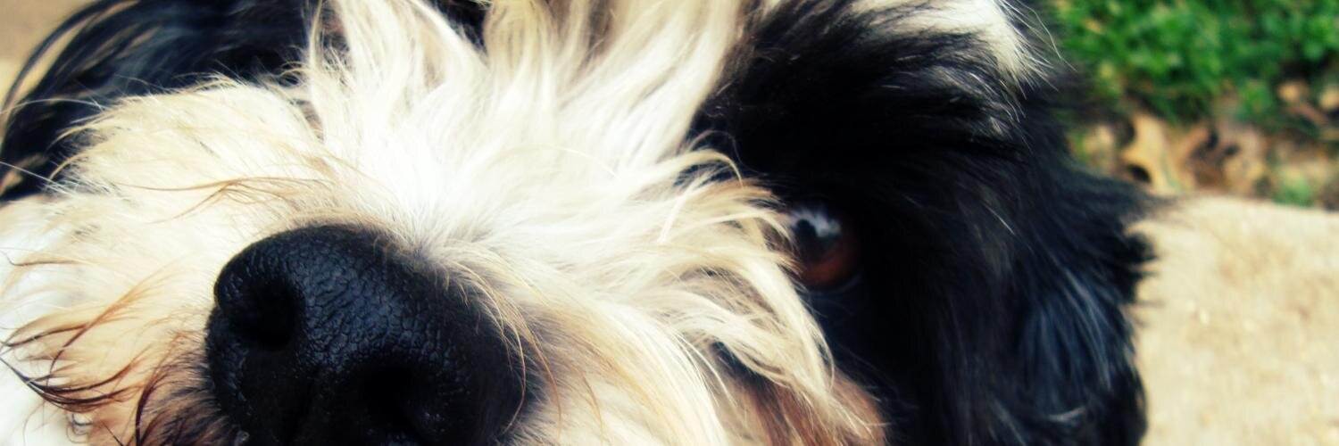 andrean51230's profile banner image