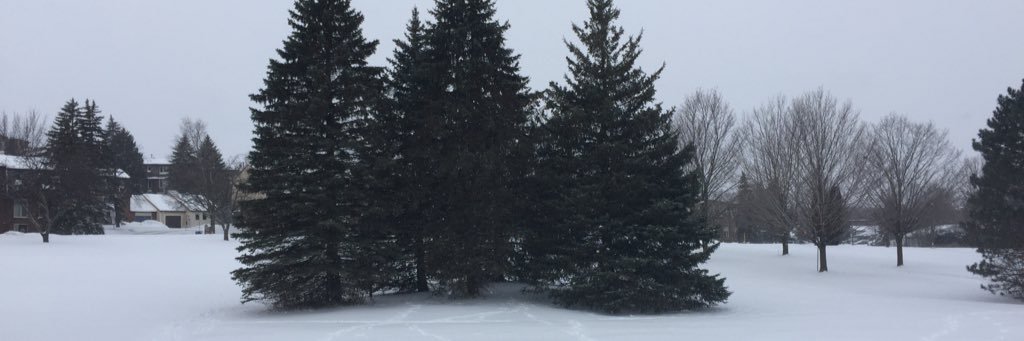 HuntClubCA's profile banner image