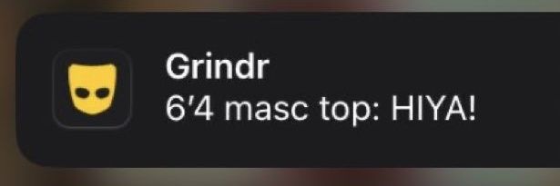 Bamba homfhing tits banner