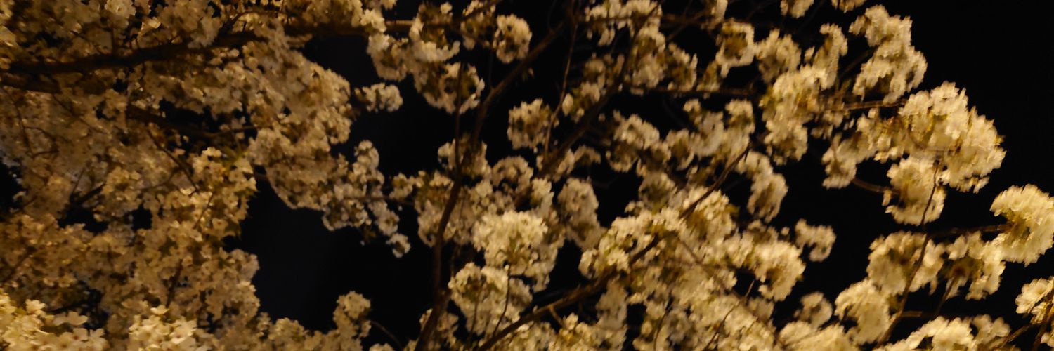 spiritedaway198's profile banner image
