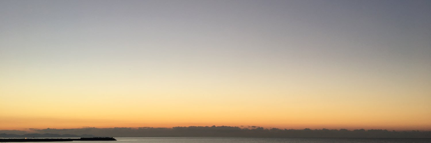 Salad_Ryus's profile banner image