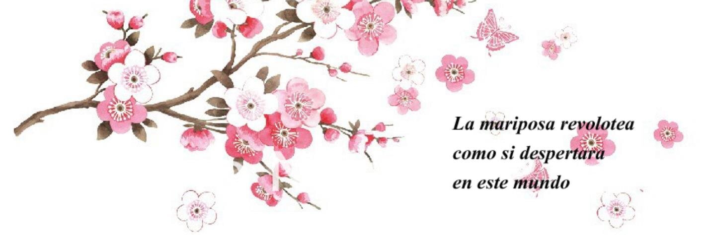 Kamidaiko's profile banner image