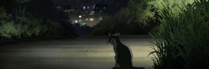chhh banner