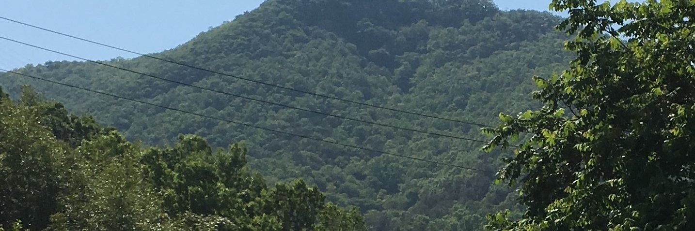 dianeski's profile banner image