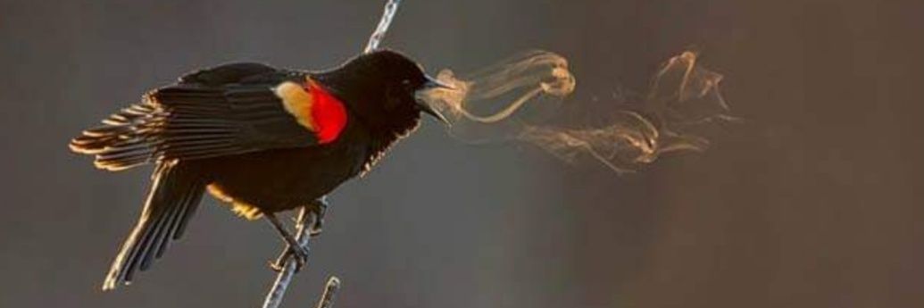 KevserCamadan's profile banner image