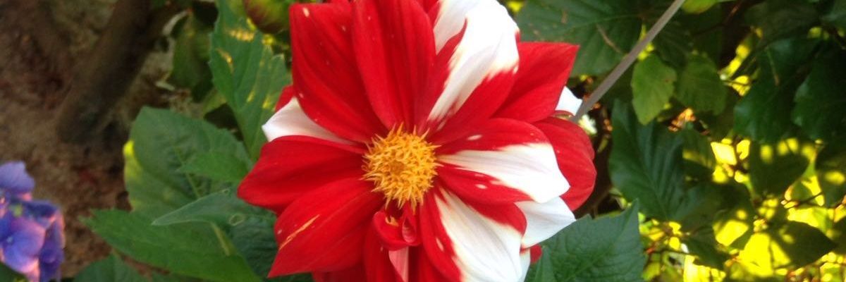 Crool1975's profile banner image