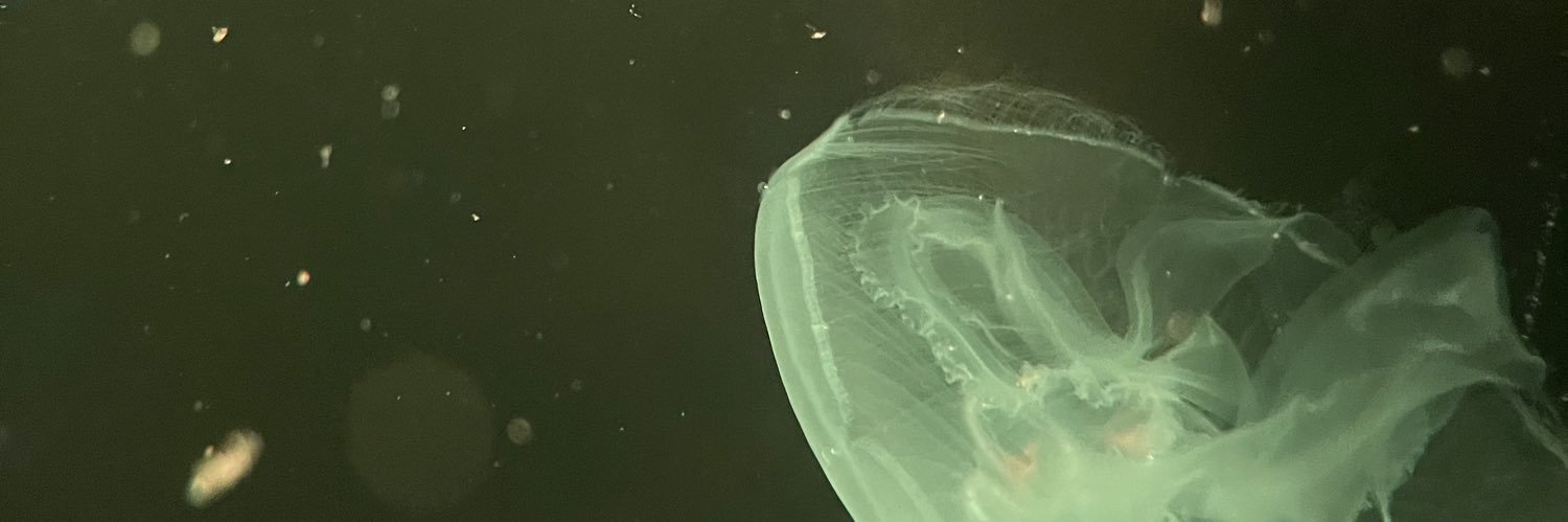 rebeccaross__'s profile banner image