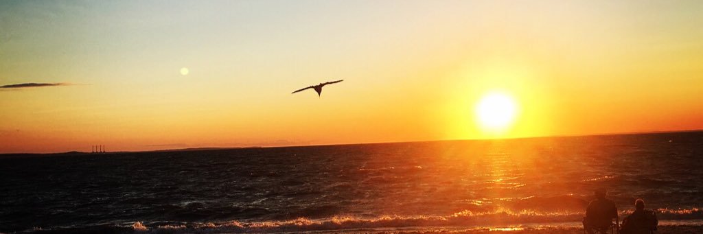 Kelly 🇺🇸❤️🇨🇦 banner