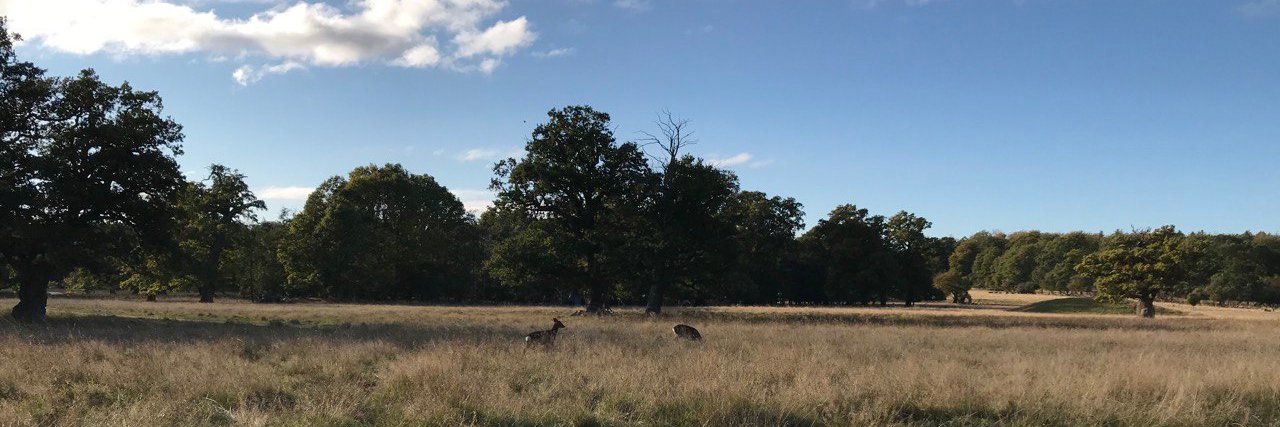 Anthony Ebert banner