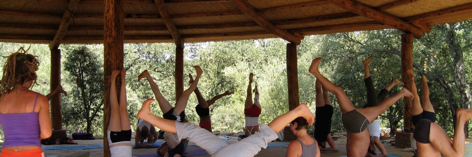 lauralotusyoga's profile banner image