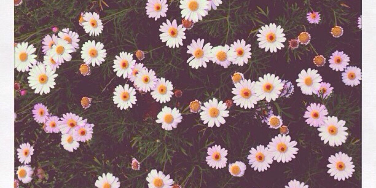 vicmacleod6's profile banner image