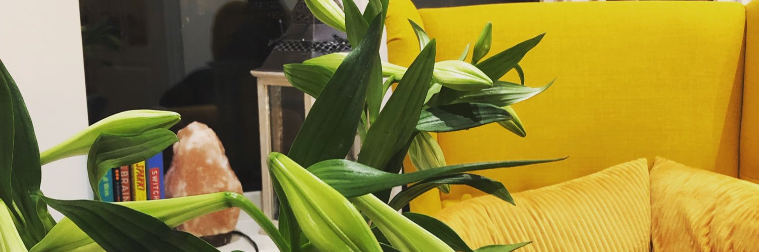 SonSwaby's profile banner image