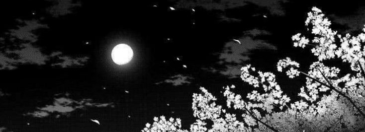 chailunaaa06's profile banner image