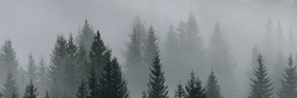 savvvharrison's profile banner image