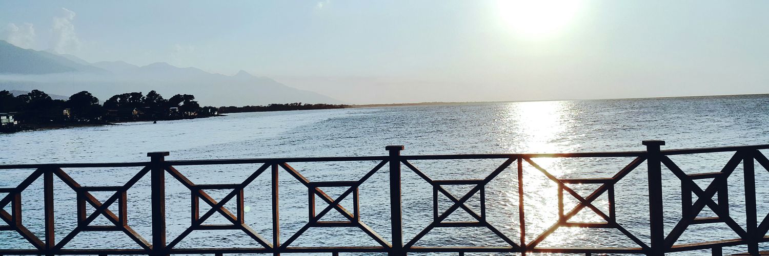 EmmaLavinia's profile banner image