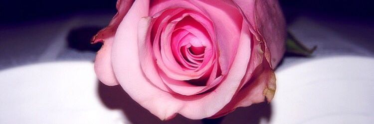 zainapod's profile banner image