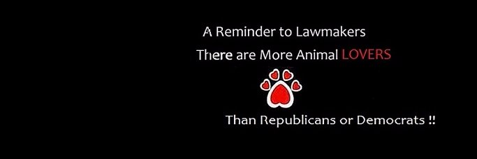 Be__Humane's profile banner image