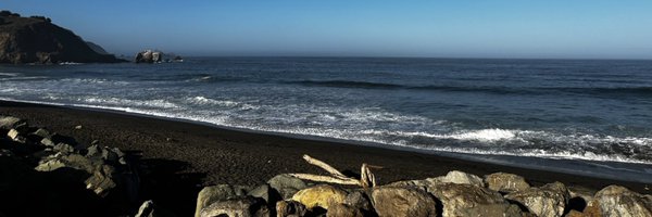 PoonamVohra3 Profile Banner