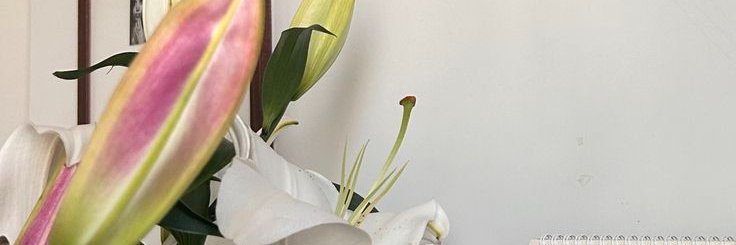 nnavza's profile banner image