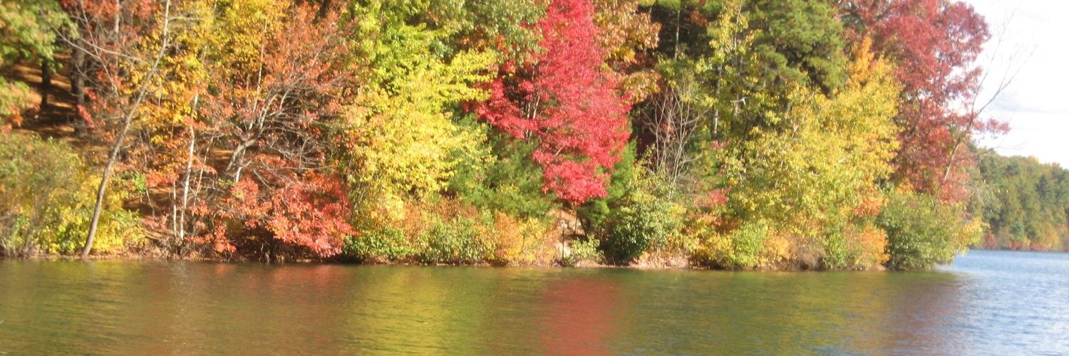 Christopher Forman banner