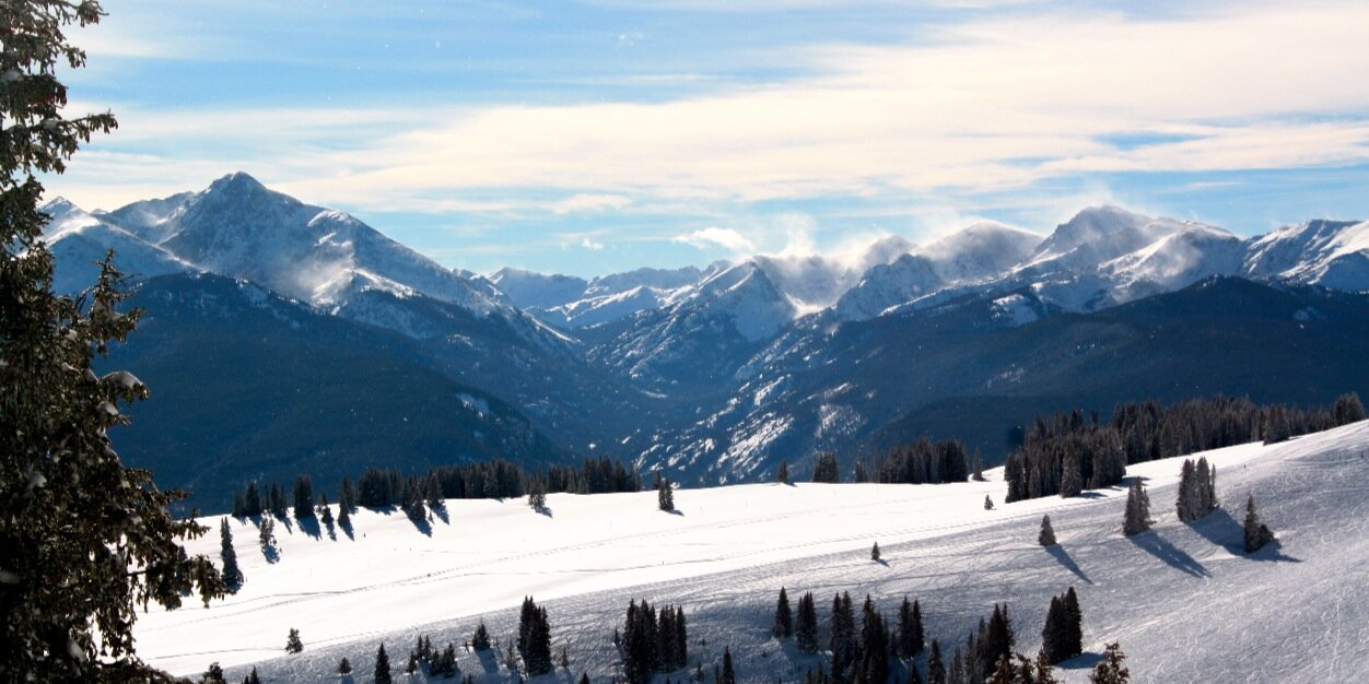 Caroline Forsberg banner