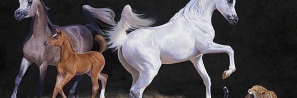 rfe3althoog's profile banner image