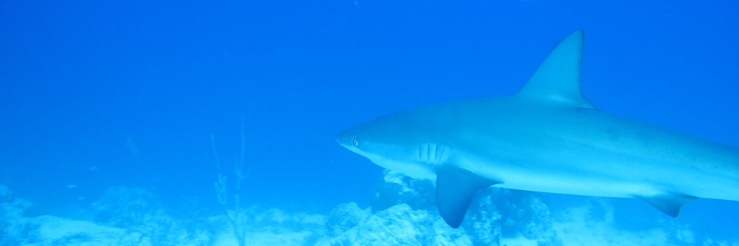 MarkKeeter's profile banner image