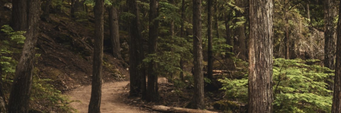 carlosendless's profile banner image